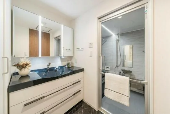 City Tower Azabu-Juban 1313: Vanity and washroom