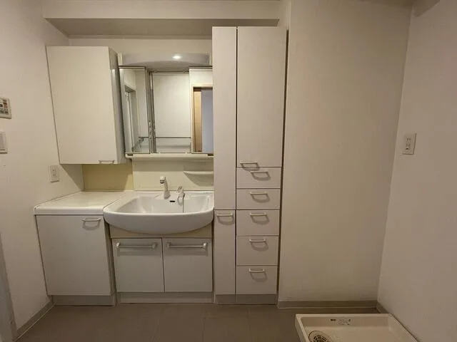 DeLCCS Shinagawa 801: Vanity and washroom