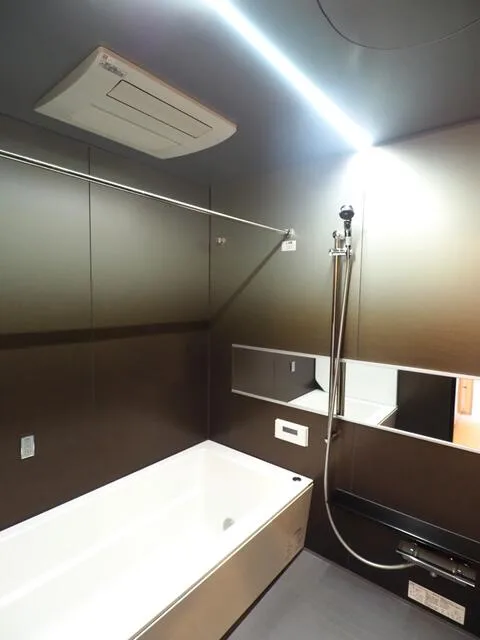 Diasta Waseda Suwa-dori 901: Bathroom