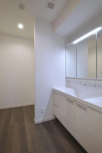 Premium Shirokanedai 101: Vanity and washroom